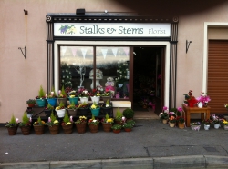 Stalks and Stems Florist