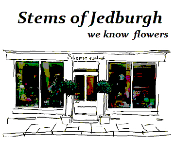 Stems of Jedburgh