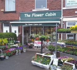 The Flower Cabin