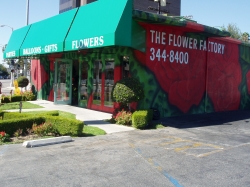 The Flower Factory Tarzana CA 91356   The Flower Factory F107081us 1 