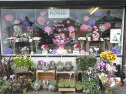 The Flower Fountain Stoke On T