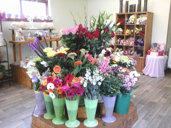 The Flower Patch