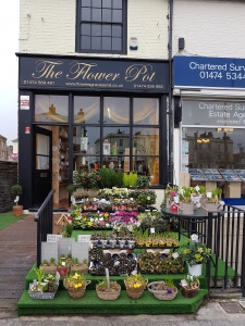The Flower Pot Florist