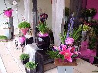 The Ivy Florist 