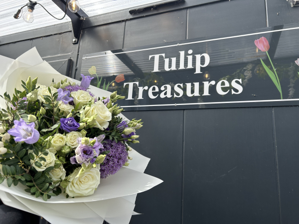 Tulip Treasures Ltd