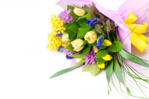  - tulips with mimosa 