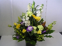 Vased Flowers