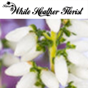 White Heather Florists