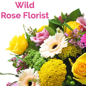 Wild Rose Shop (North Sydney)