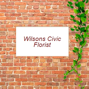 Wilsons Civic Florist - Newcastle