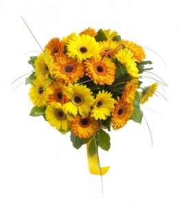  - Bouquet of yellow gerberas
 