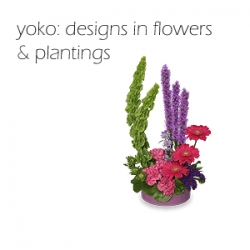 Yoko: Designs in Flowers and Plantings