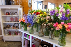 Zest Floral Design